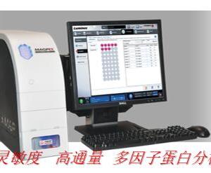 Luminex液相懸浮芯片檢測服務(wù)