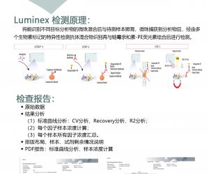 Luminex液相懸浮芯片檢測服務(wù)